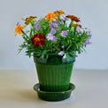 Simona Glazed Emerald Green Pot Set, 4.7"