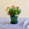 Simona Glazed Emerald Green Pot Set, 4.7"