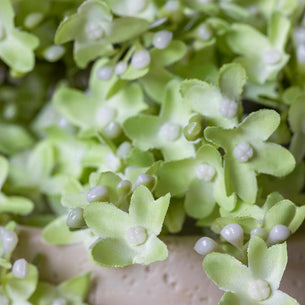 Artificial Pistachio Lilac Stem