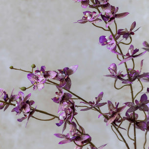 Artificial Oncidium Orchid Stem