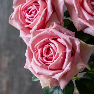 Artificial Real Touch Peach Rose Stem