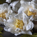 Artificial Cream Rose Spray