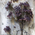 Artificial Purple Queen Anne's Lace Stem