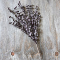  Artificial Plum Eucalyptus Stem