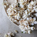 Artificial Hydrangea Morning Mist Stem