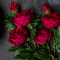 Artificial Real Touch Ruby Peony Stem