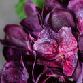 Artificial Real Touch Crimson Hydrangea Stem