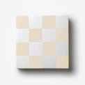 Art of Chess Game, Mirror