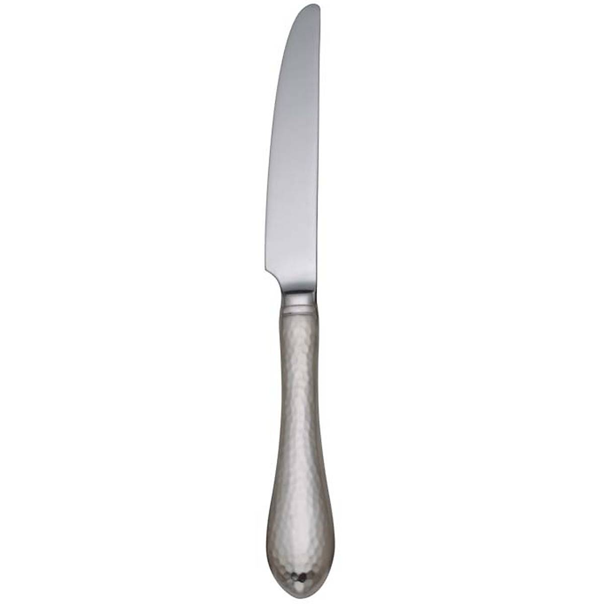 Hammered Antique Dinner Knife – Lenox Corporation