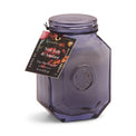 Botanica Candle - Sea Salt & Amber, 8 oz