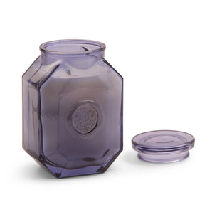 Botanica Sea Salt & Amber 8oz Candle