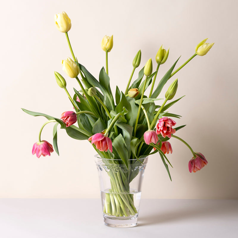 Kobenhavner Glass Clear Vase