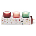 DTOC WINTER BERRY, PINK PEPPERMINT, BALSAM & FIR S/3