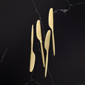 Gaze Champagne Satin Spreaders 4-Piece Set