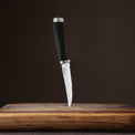 Epicure Black 4 Piece Steak Knife Set