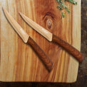 Raintree 4pc Steak Knife Set