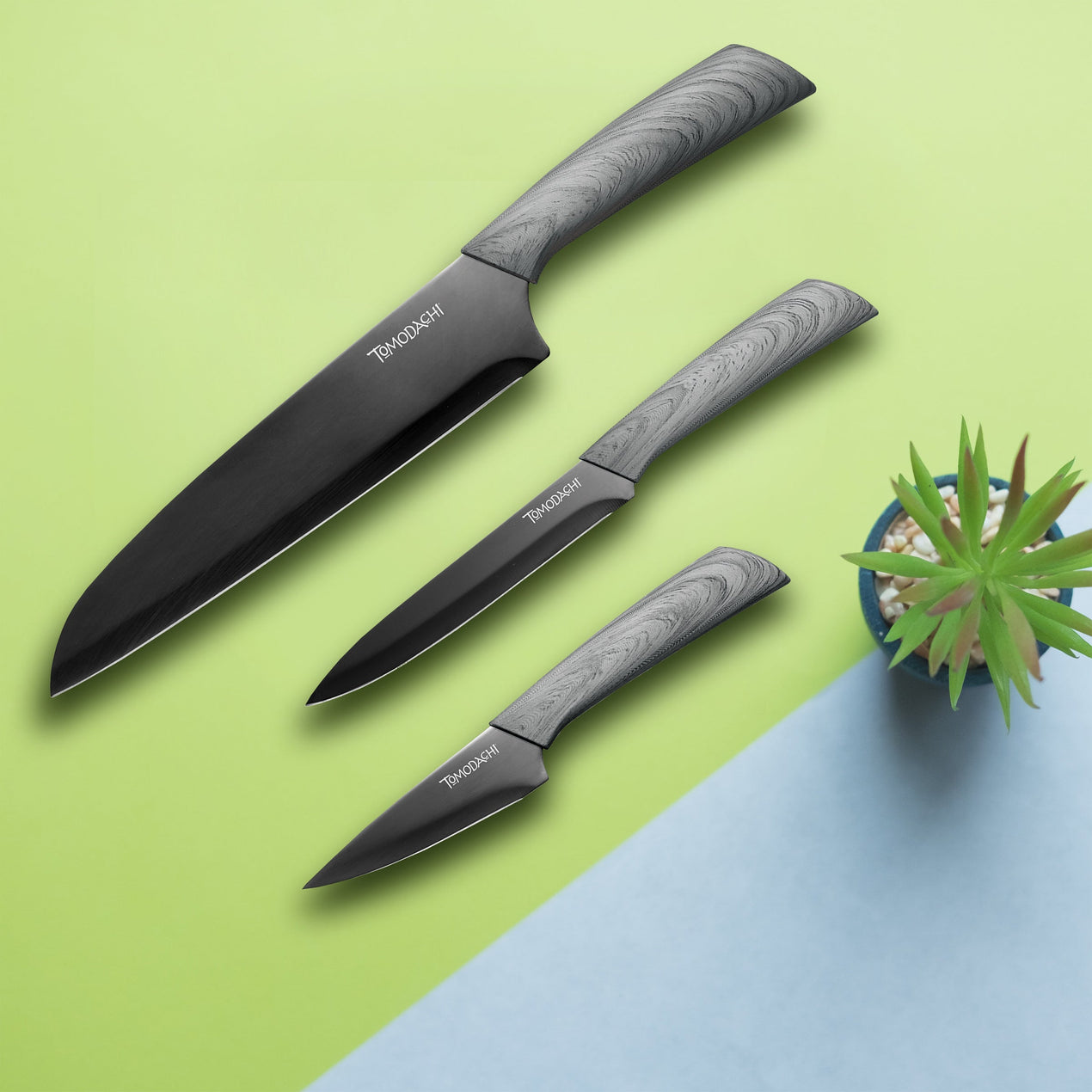 CHATA ✨３点set♡ russet accessories collection 2025 AW Soft leather multi case