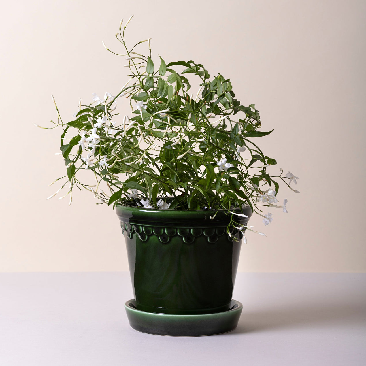 Kobenhavner Emerald Green Pot Set 16CM