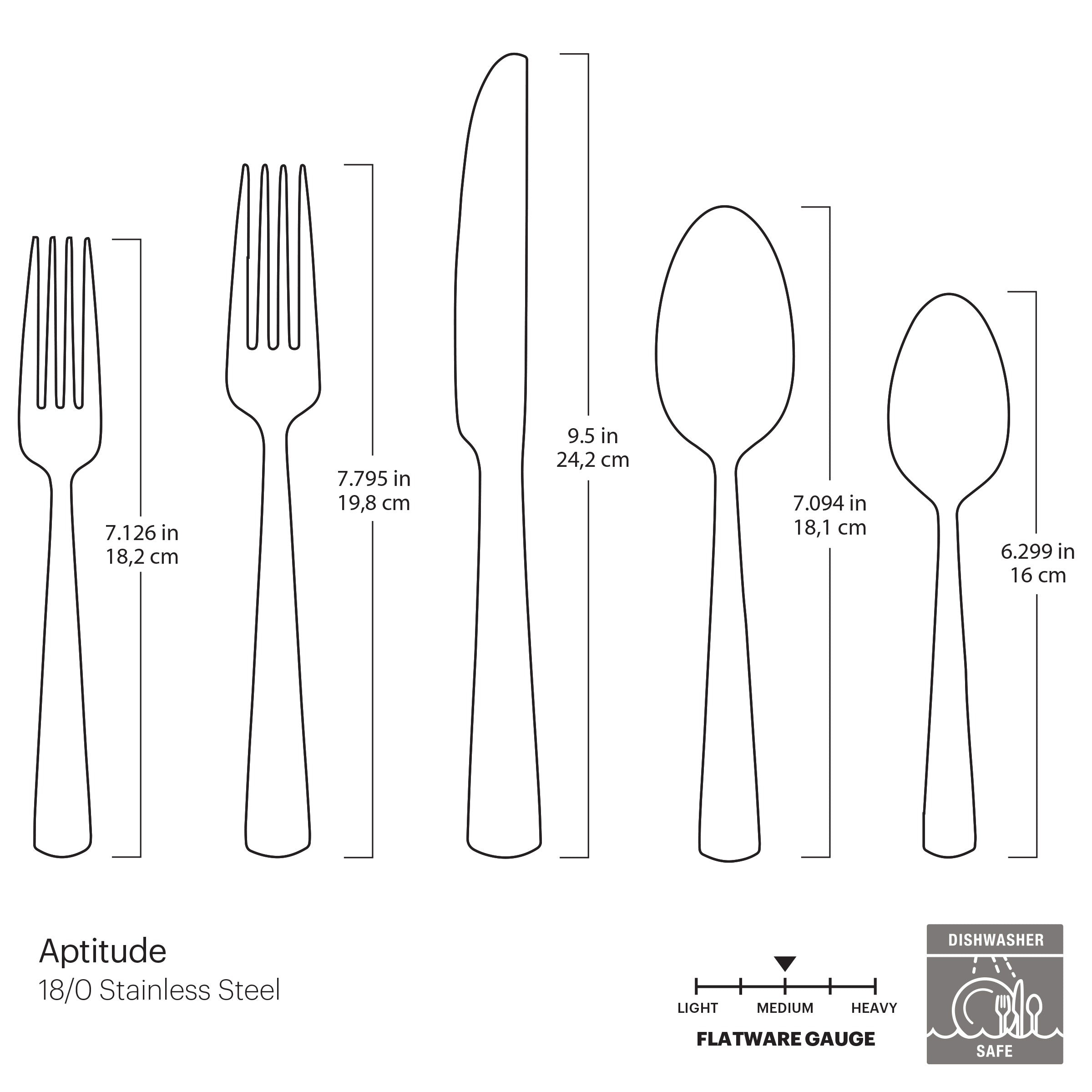Aptitude Midnight Glossy 20-Piece Flatware Set – Lenox Corporation