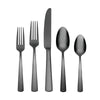 Aptitude Midnight Glossy 20-Piece Flatware Set