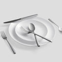Rachel Mirror 20-Piece Flatware Set