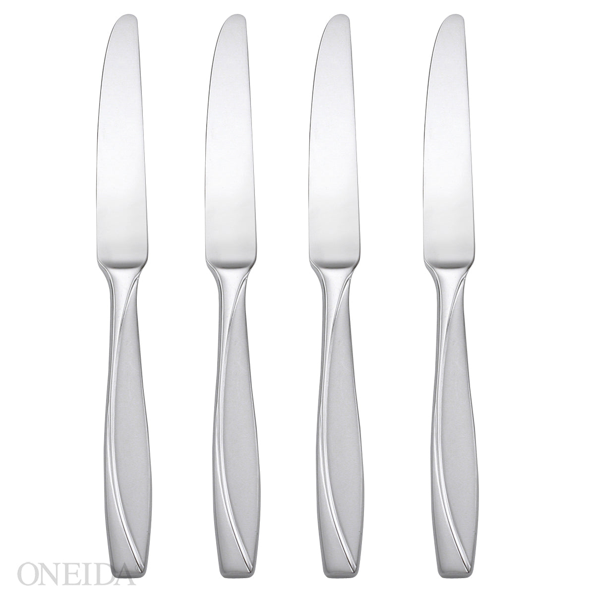 Camlynn Mirror Dinner Knife - Set of 4 – Lenox Corporation