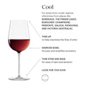 Signature Series Cool Region 4-Piece Wine Glass Set