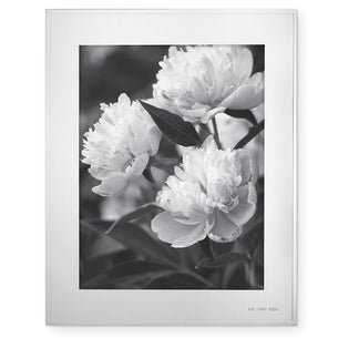 Shop All<br>kate spade new york