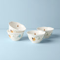 Butterfly Meadow 4-Piece Rice Bowl Set
