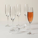 Tuscany Classics Champagne Glass Flute Set, Buy 4 Get 6