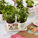 Butterfly Meadow 3-Piece Herb Pots & Tray Set