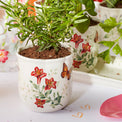 Butterfly Meadow 3-Piece Herb Pots & Tray Set