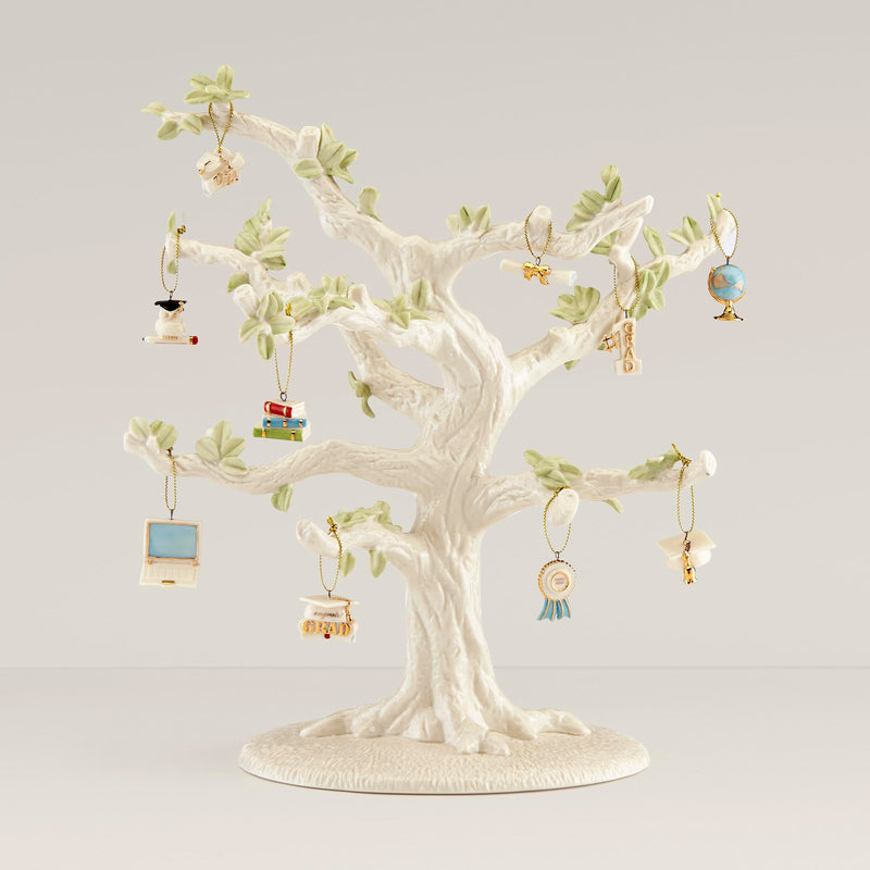 Graduation 10-Piece Ornament Set