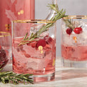 Holiday Gold Double Old-Fashioned Glasses, Set of 4