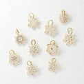 Snowflake 10-Piece Ornament Set