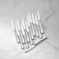 Portola 12-Piece Steak Knife Set