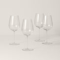 Signature Series Cool Region 4-Piece Wine Glass Set