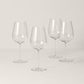 Signature Series Cool Region 4-Piece Wine Glass Set