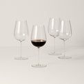 Signature Series Cool Region 4-Piece Wine Glass Set