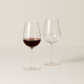 Signature Series Cool Region 2-Piece Wine Glass Set