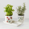 Butterfly Meadow 3-Piece Herb Pots & Tray Set